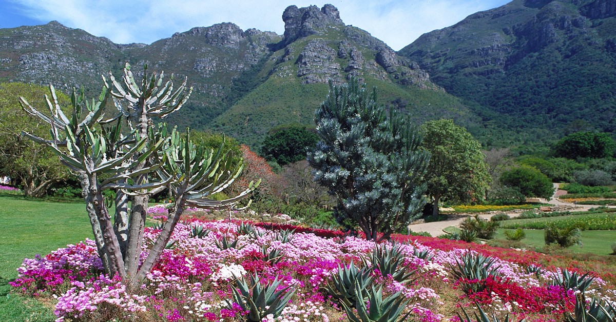 Jardines Kirstenbosch. South African Tourism, Foter