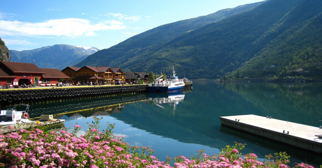 Puerto de Flam. rosa luu, Flam