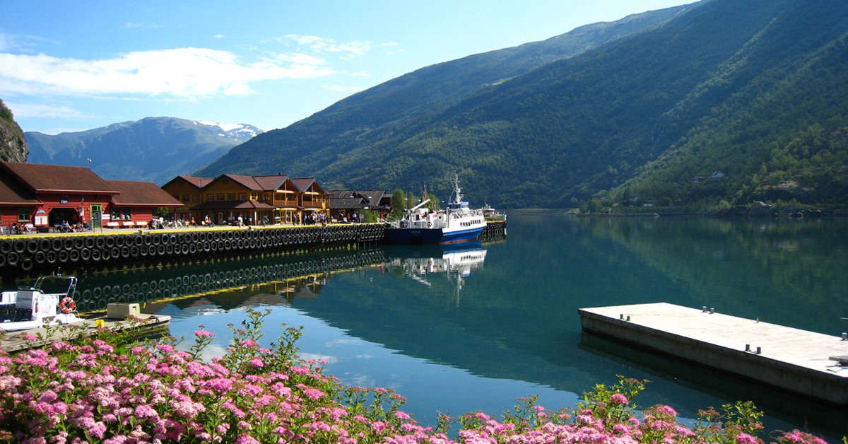 Puerto de Flam. rosa luu, Flam