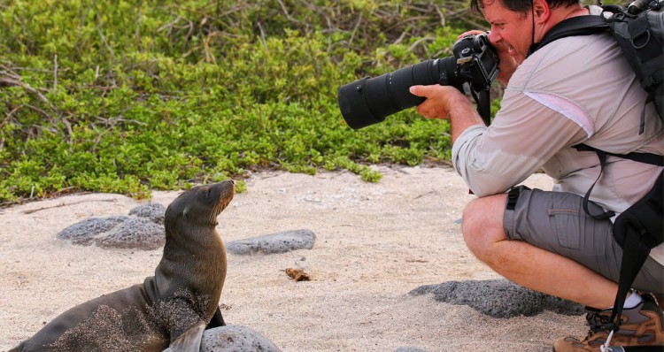 Fotógrafo de fauna (Istock)