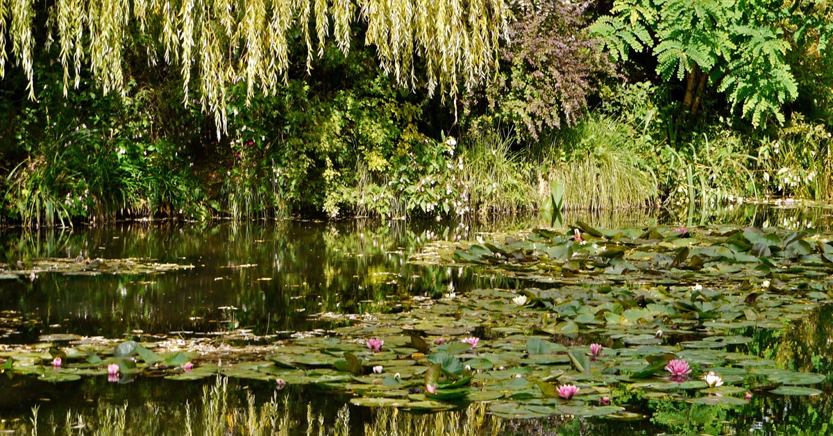 Jardin d’Eau. Marie Thérèse Hébert & Jean Robert Thibault, Foter