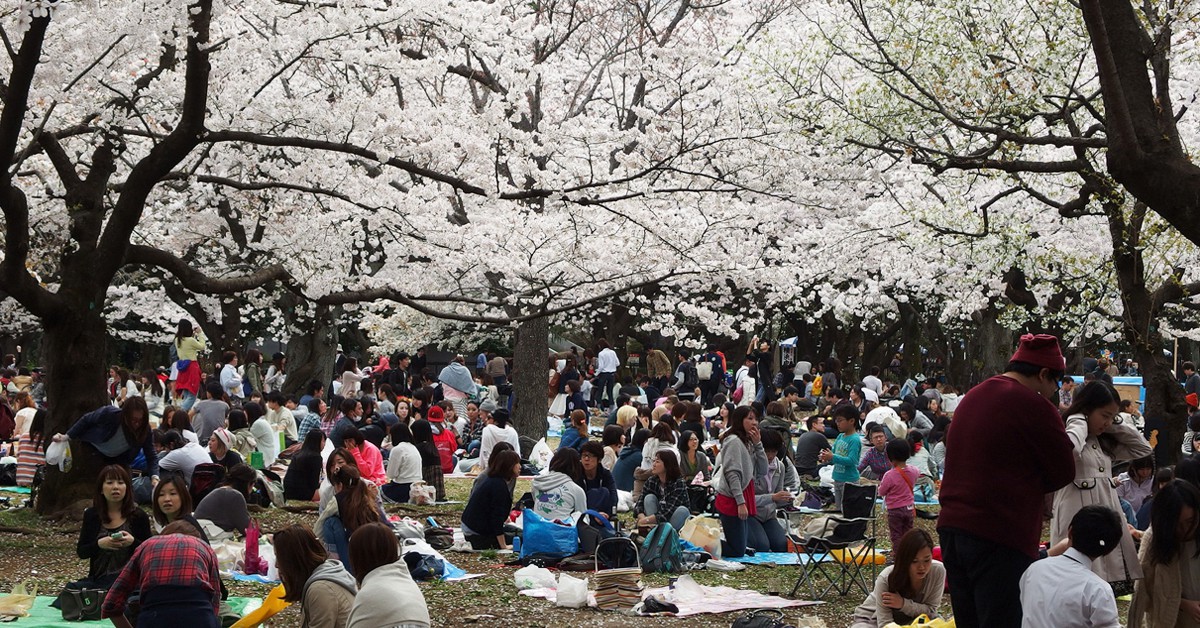 Picnic en Yoyogi Park. Guilhem Vellut, Flickr