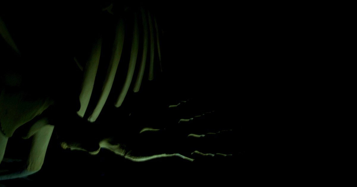 En las profundidades. Fabian Bromann, Foter