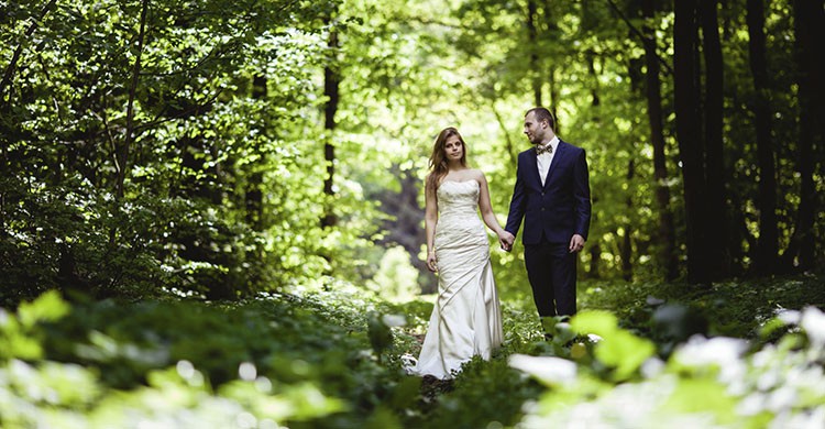En un bosque (iStock)