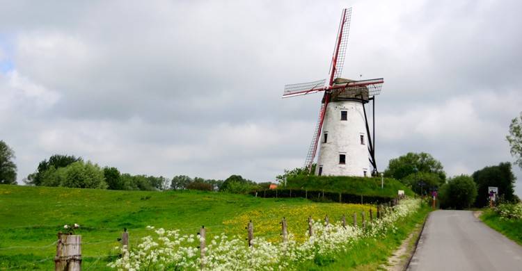 Damme (iStock)