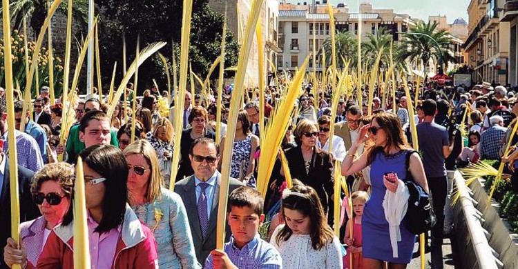 El palmeral de Elche da lugar a un vistoso Domingo de Ramos (Fuente: visitelcheblog.com)