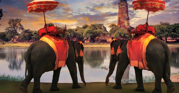 Elefantes en Ayuthaya (iStock)