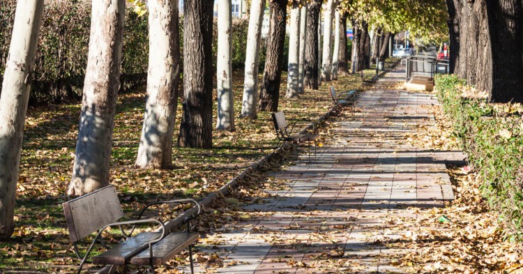 Parque de Getafe / Madrid (Istock)