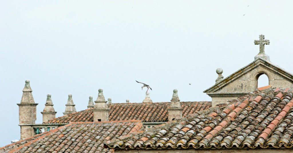Sigue leyendo Los 10 lugares más increíbles para una pedida de mano en España