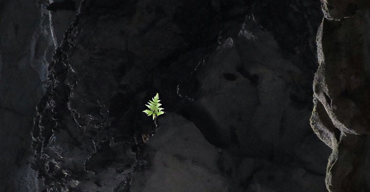Son Doong. travelinknu, Foter