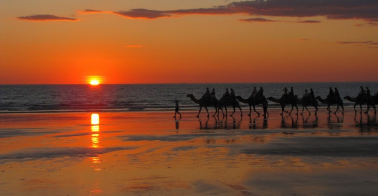 Camellos y puesta de sol en Cable Beach. AntjeSchlegel (Flickr)