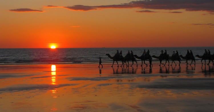 Camellos y puesta de sol en Cable Beach. AntjeSchlegel (Flickr)