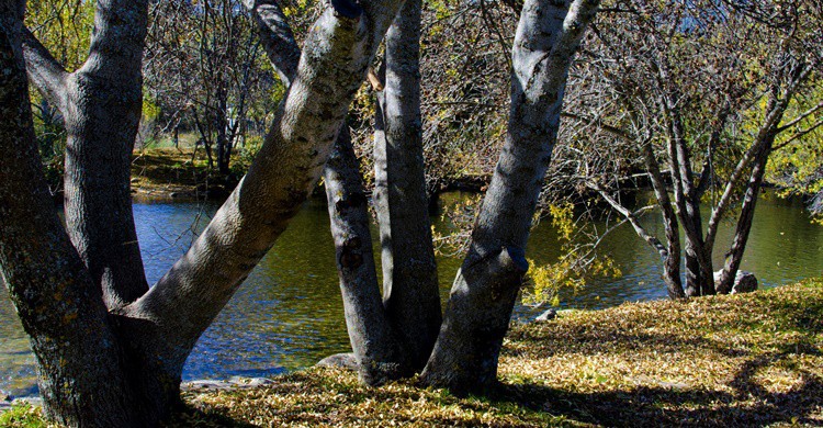 Las Presillas. Tuscasasrurales (Flickr)