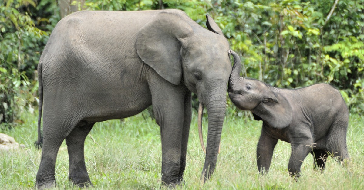 Madre e hijo. USO, iStock