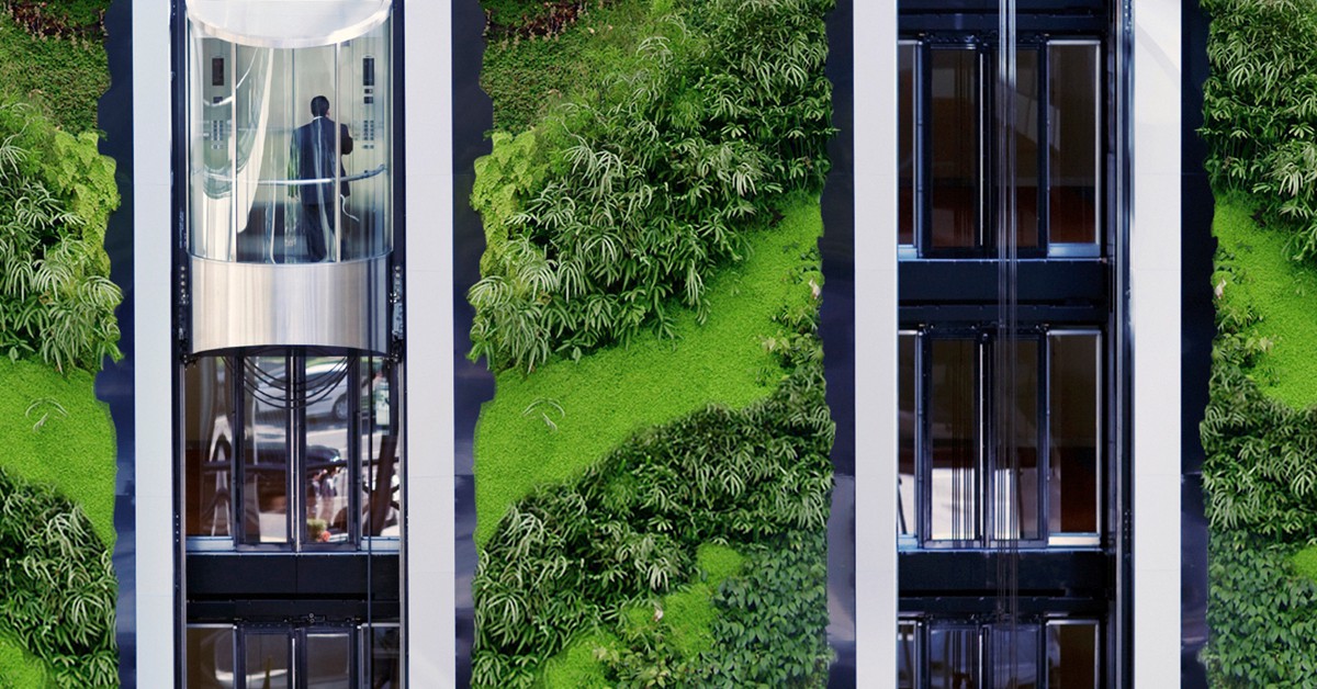 Entre ascensores. Green Over Grey Living Walls and Design
