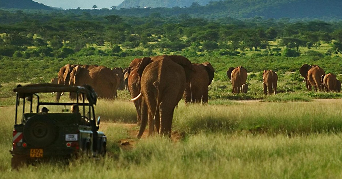 Elephant Watch Camp