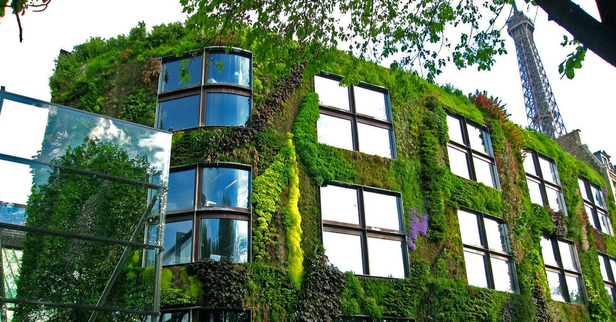 Jardín vertical. Patrick Blanc