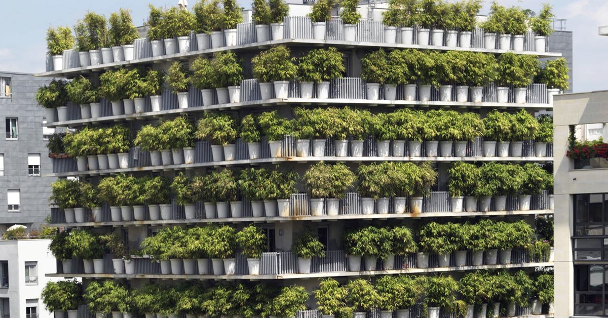 The Tower Flower. Édouard François, Facebook