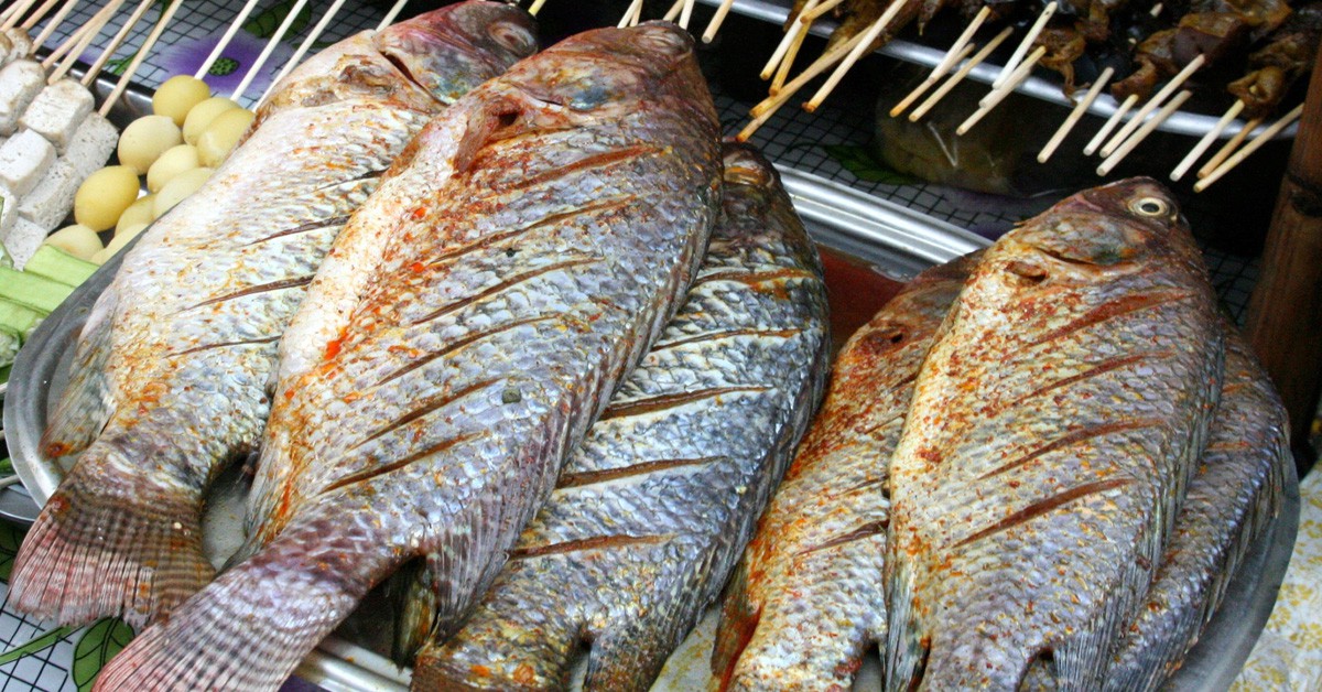 barbacoa de pescado / España (Istock)