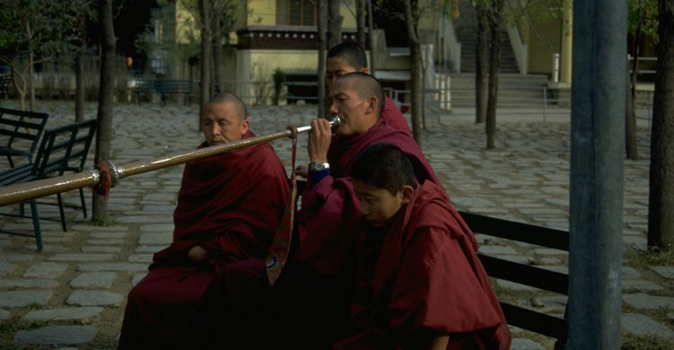 Dharamsala, India (Flickr)