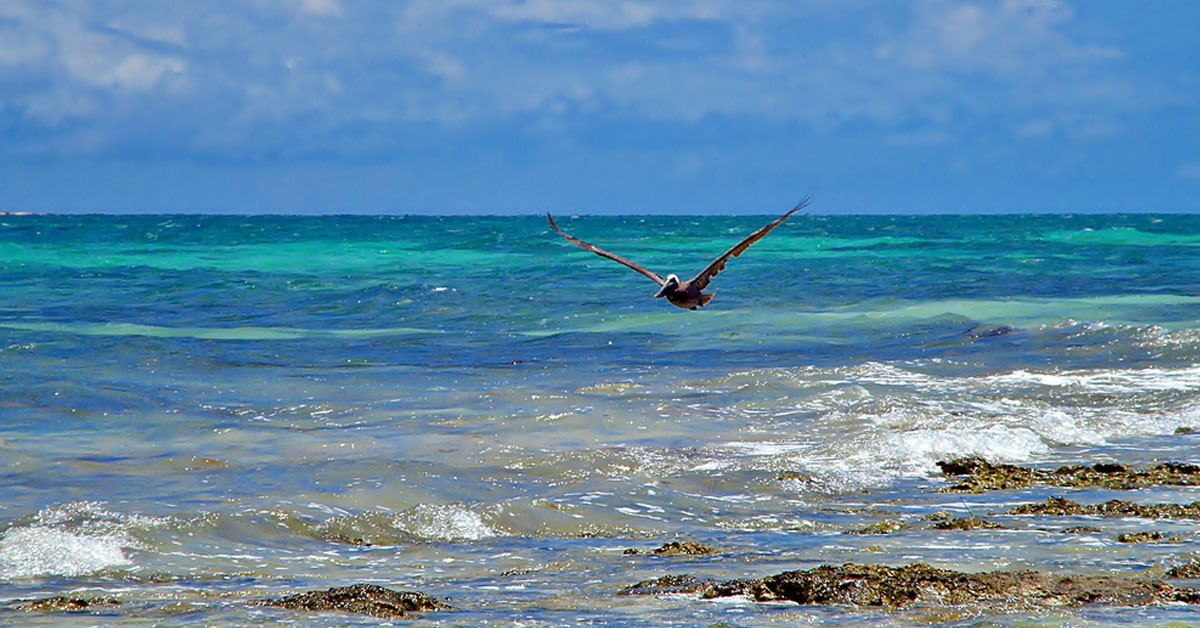 Playa de Miami Beach en condado de Monroe (Flickr)