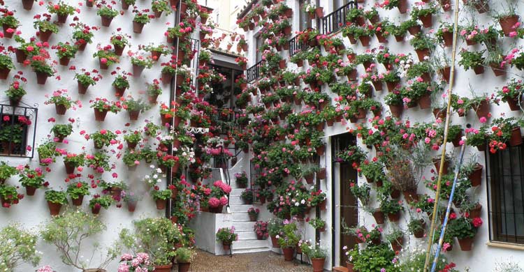 Patio de Córdoba (Wikimedia.org)