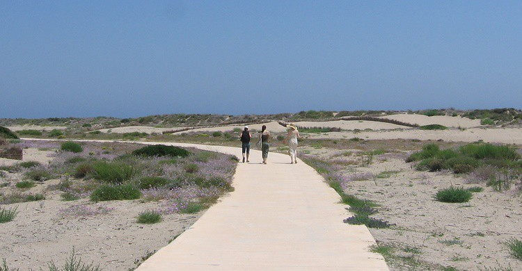 Playa en Valencia. Malgorzata Janerka (Flickr)