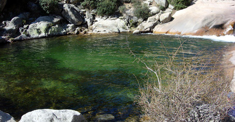 La Charca Verde, en el río Manzanares. Roman Santos (Flickr)