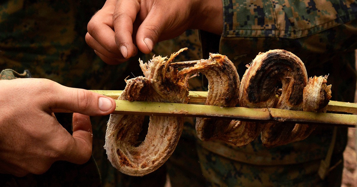 Cobra. stroud4341 (Foter)