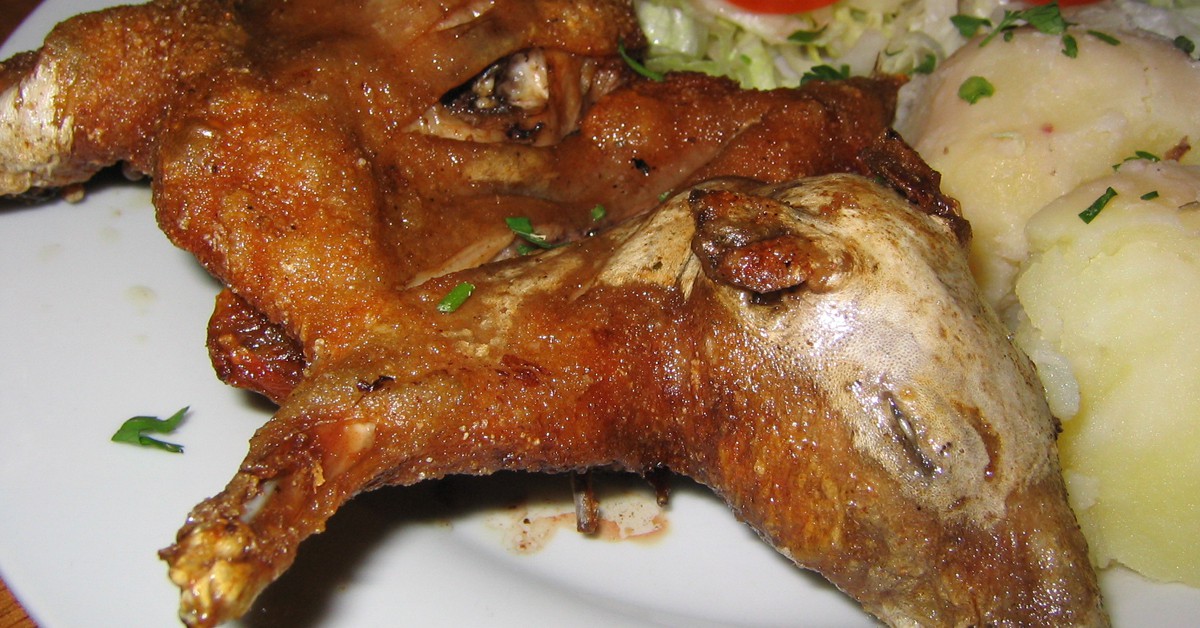 Cuy. Phillie Casablanca (Foter)