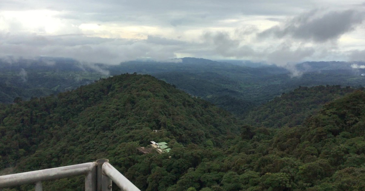 Torre del bosque Mashpi. Moctavio (Foter)