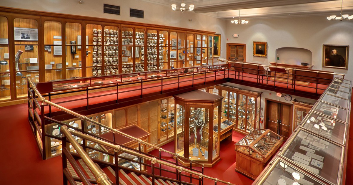 Vista general de vitrinas. Mütter Museum of The College of Physicians of Philadelphia (Facebook)