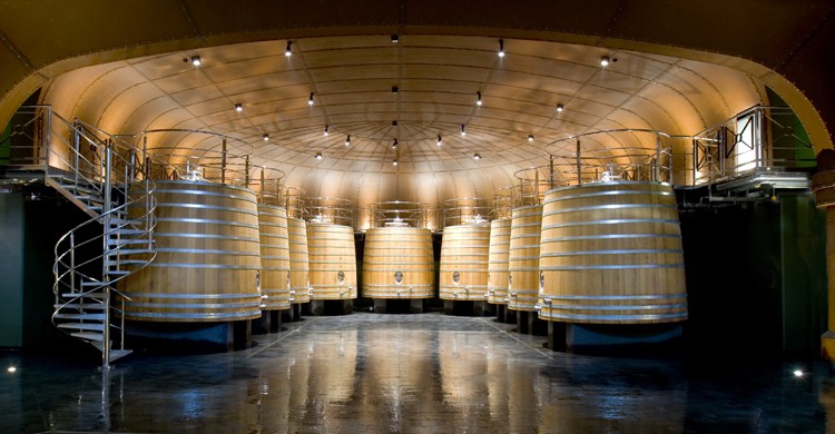 Sala de tinos de roble francés (Vivanco)