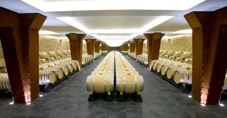 Sala maloláctica (Vivanco)