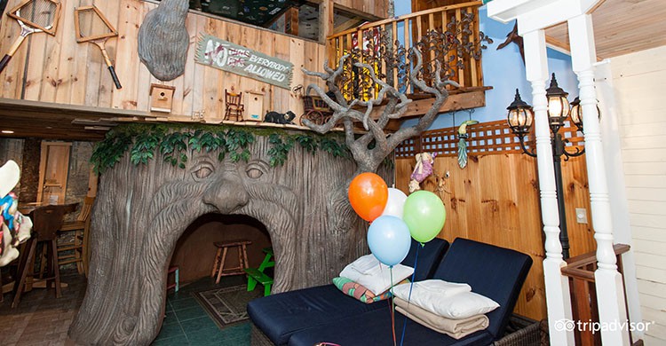 Treehouse Suite at Adventure Suites (http://www.adventuresuites.com/adventure-suites.php)