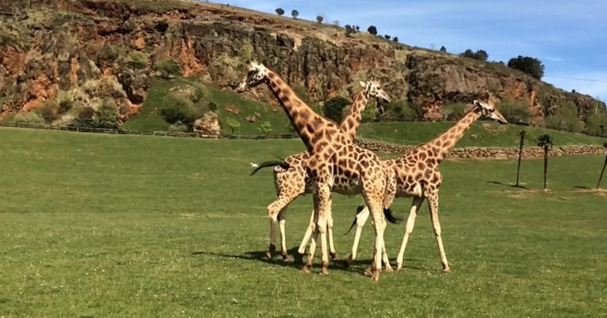 Parque de Cabárceno (www.parquedecabarceno.com)
