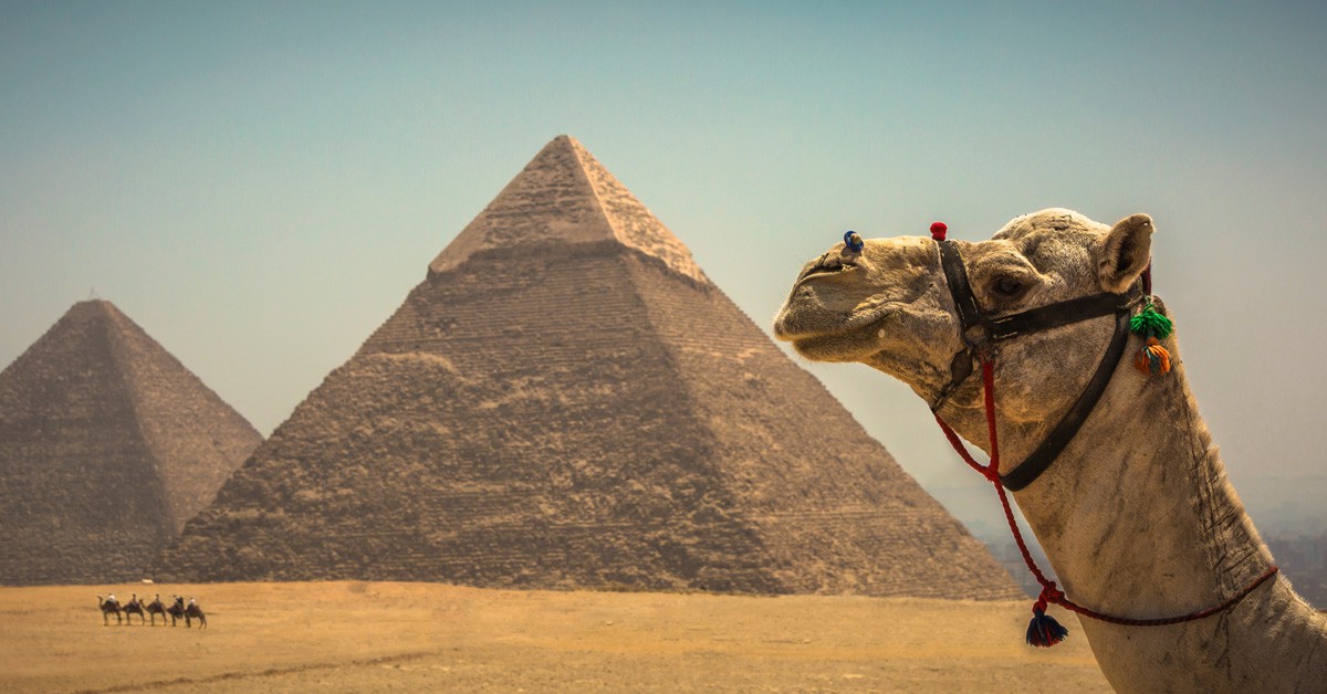 ruta en camello a las pirámides/ Egipto (Istock)
