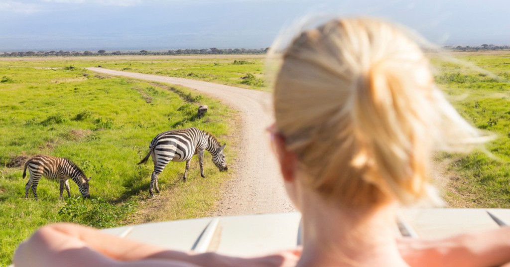 Sigue leyendo Los 10 safaris más salvajes que visitar en España