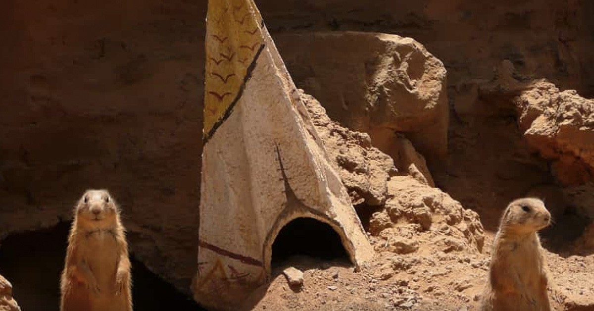 Rancho Texas (http://ranchotexaslanzarote.com)