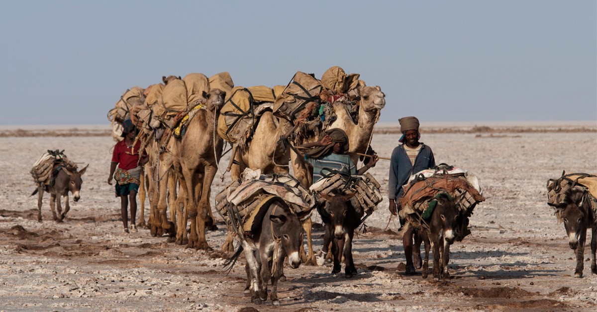 ruta en camello en Etiopía (Istock)