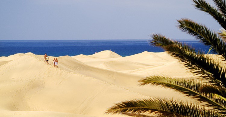 Dunas en Maspalomas. Vin Crosbie (Flickr)