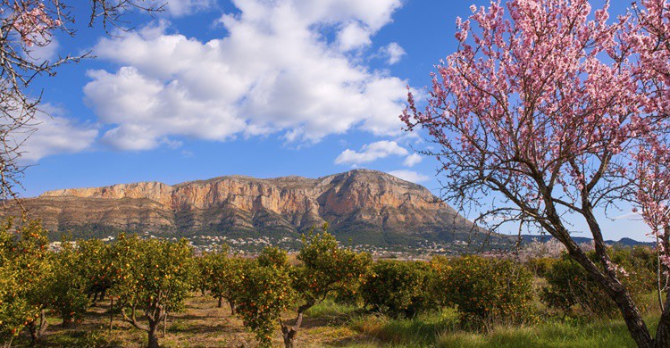 Imagen al fondo del Montgó. LUNAMARINA (iStock)