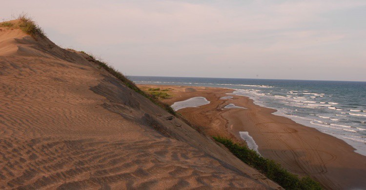 Playa de Chachalacas con sus dunas. Mario Paredes (Flickr).