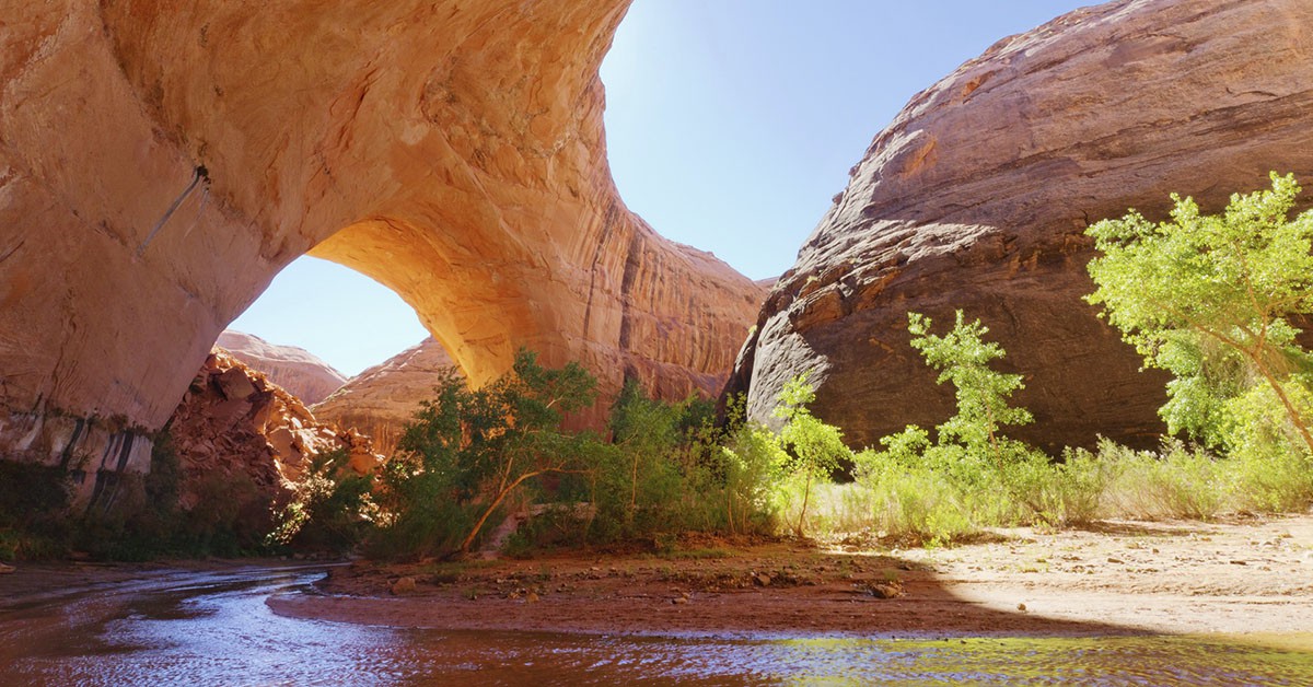 Estados Unidos (iStock)