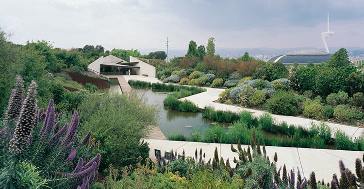 Vistas sobre el jardín. Jardí Botànic de Barcelona (Visit Barcelona)