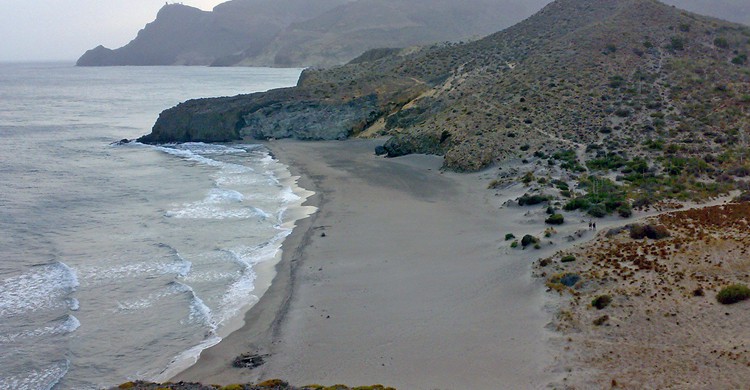Cala Barronal. castanias (Foter)