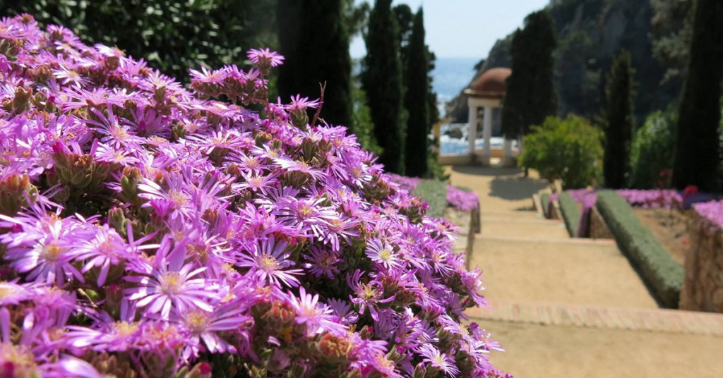 Sigue leyendo 10 jardines botánicos de España que debes conocer