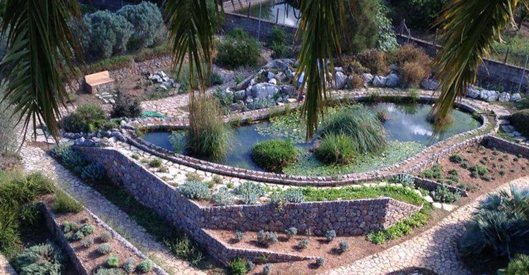 Estanque desde arriba. Jardí Botànic de Sóller (Facebook)