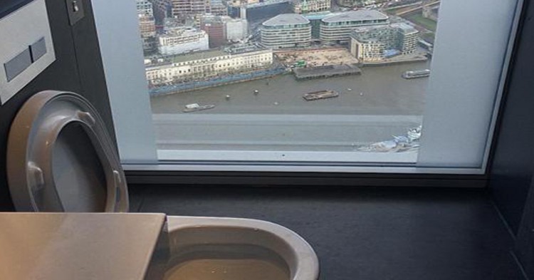 Hacer cacá en un rascacielos es así (Fuente: estovalelapena.com)