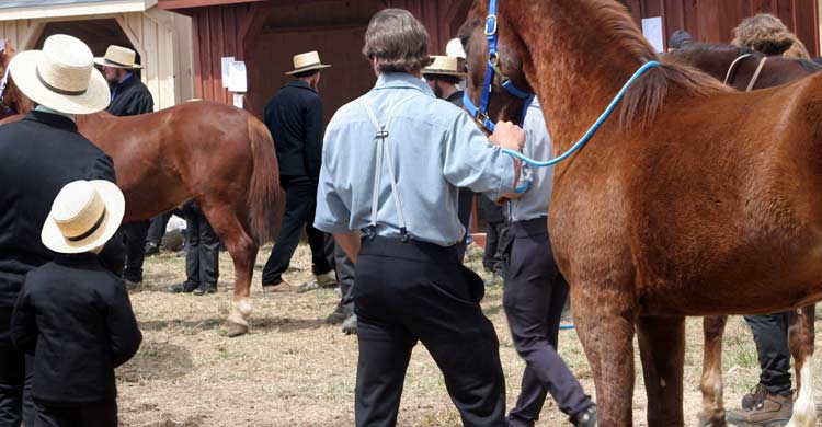 El origen de los amish se remonta a finales del siglo XVII (iStock)
